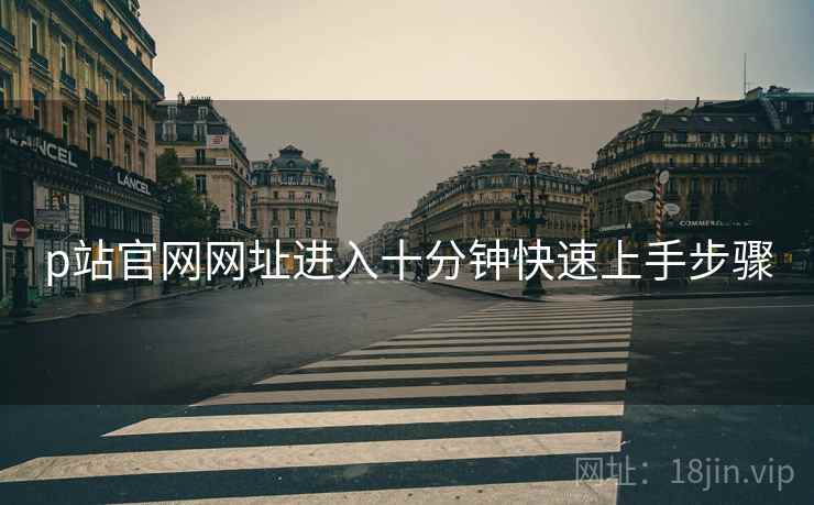 p站官网网址进入十分钟快速上手步骤 p站官网网址进入十分钟快速上手步骤