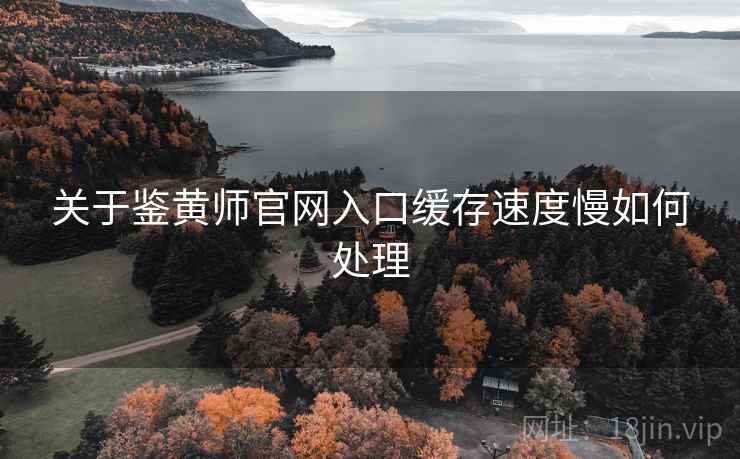 关于鉴黄师官网入口缓存速度慢如何处理