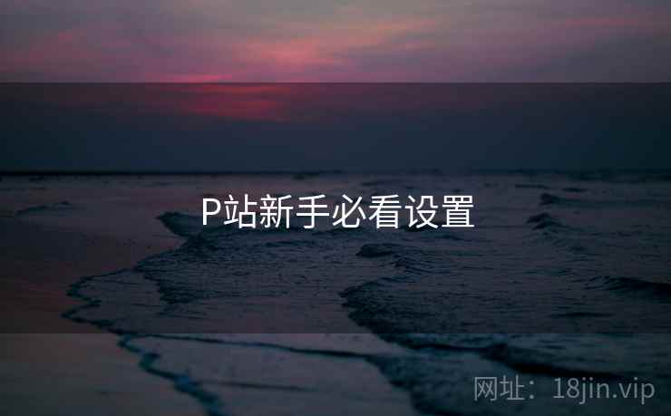 P站新手必看设置 P站新手必看设置