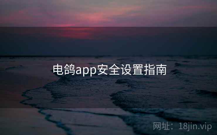 电鸽app安全设置指南