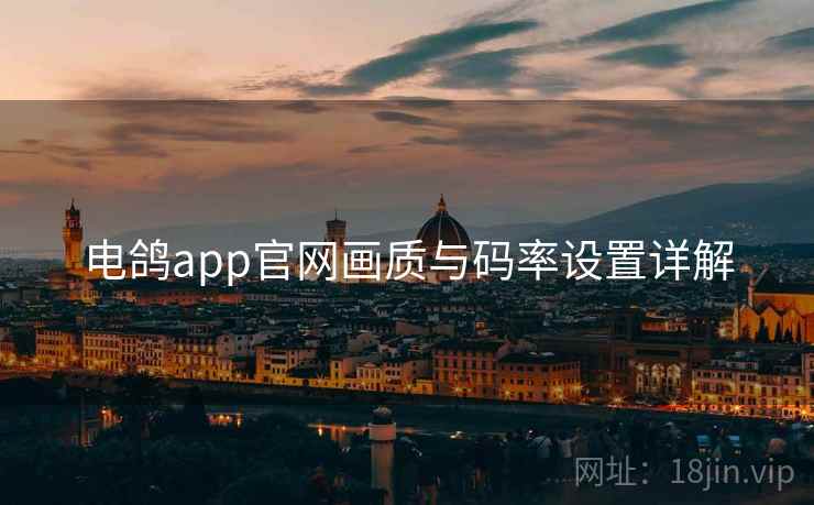 电鸽app官网画质与码率设置详解
