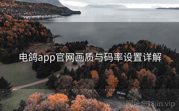 电鸽app官网画质与码率设置详解