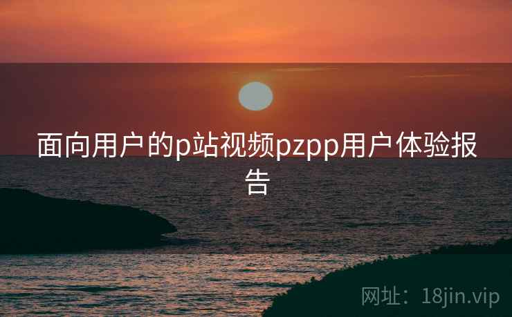 面向用户的p站视频pzpp用户体验报告