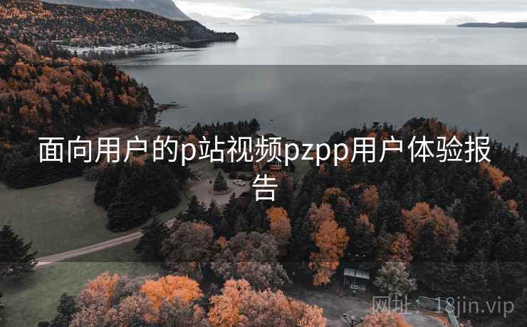 面向用户的p站视频pzpp用户体验报告